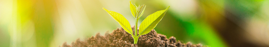 compostbanner.jpg Moisture and Compost Banner