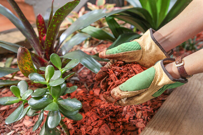 Protective gloves for planting.jpg Gloved Hands Holding Mulch