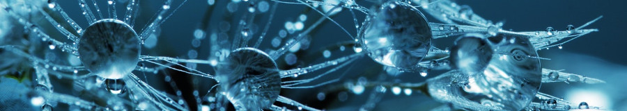 Water Droplets Water Droplets