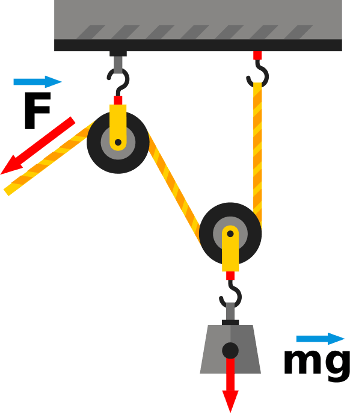 Force & Mass for Lifting Weights